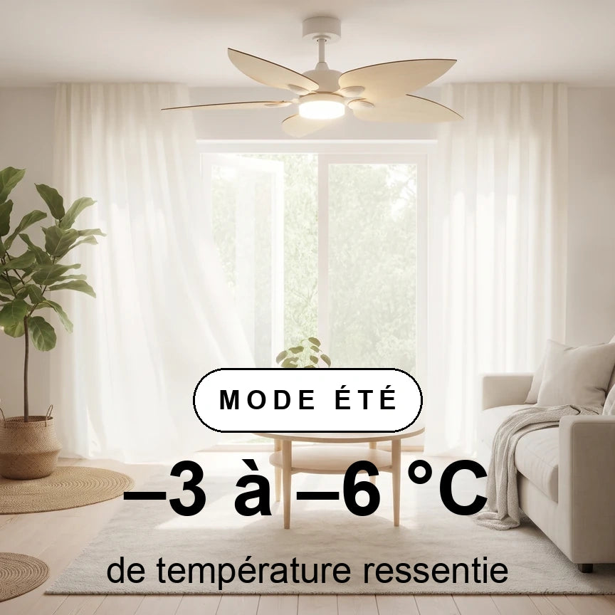 virevole scene ete
