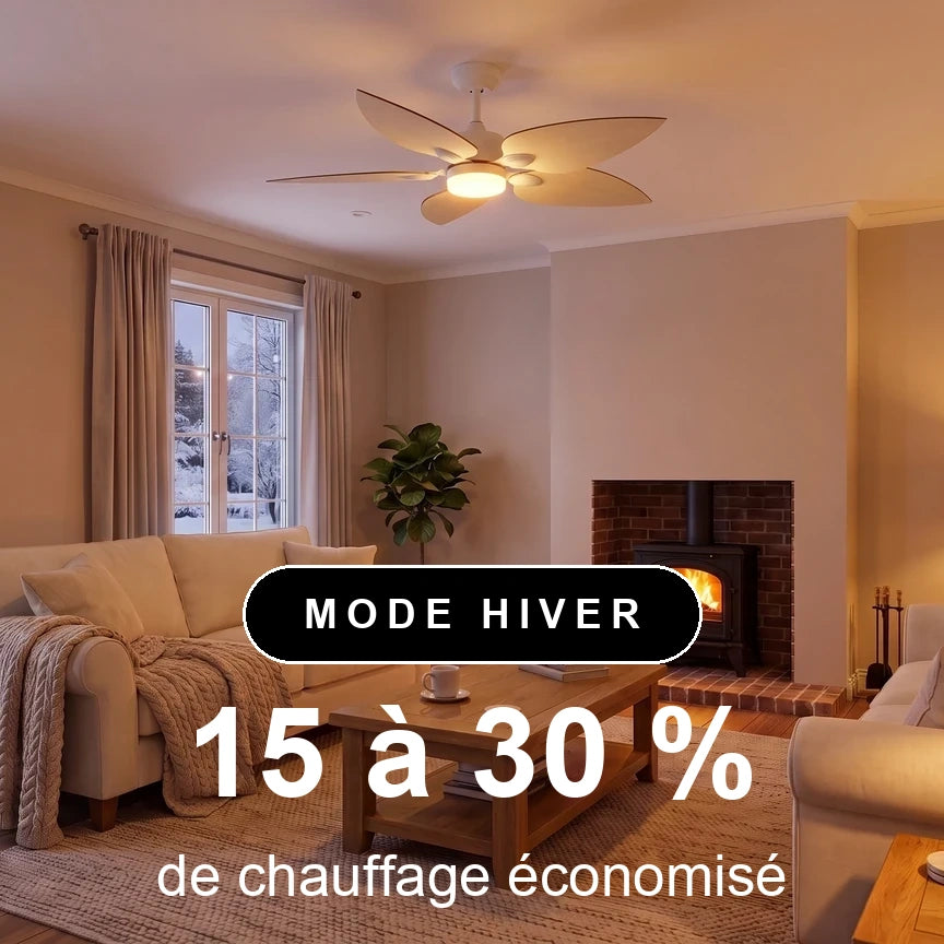 virevole scene hiver