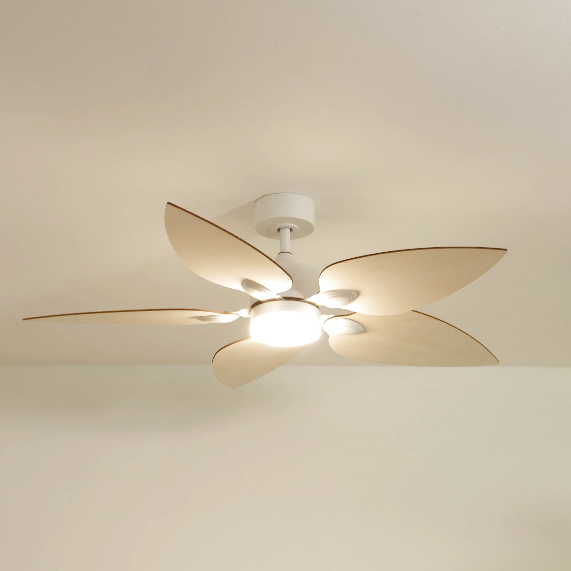 Virevole | Ventilateur de plafond