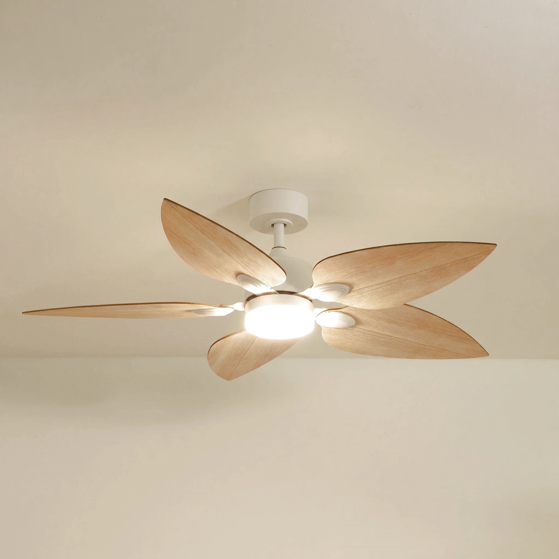 Virevole teinté Chêne | Ventilateur de plafond