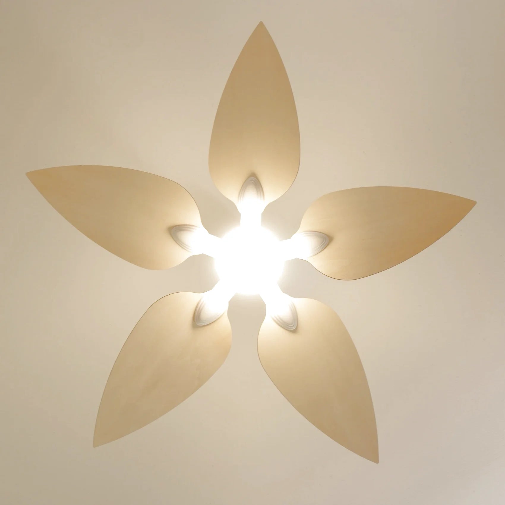 Virevole | Ventilateur de plafond