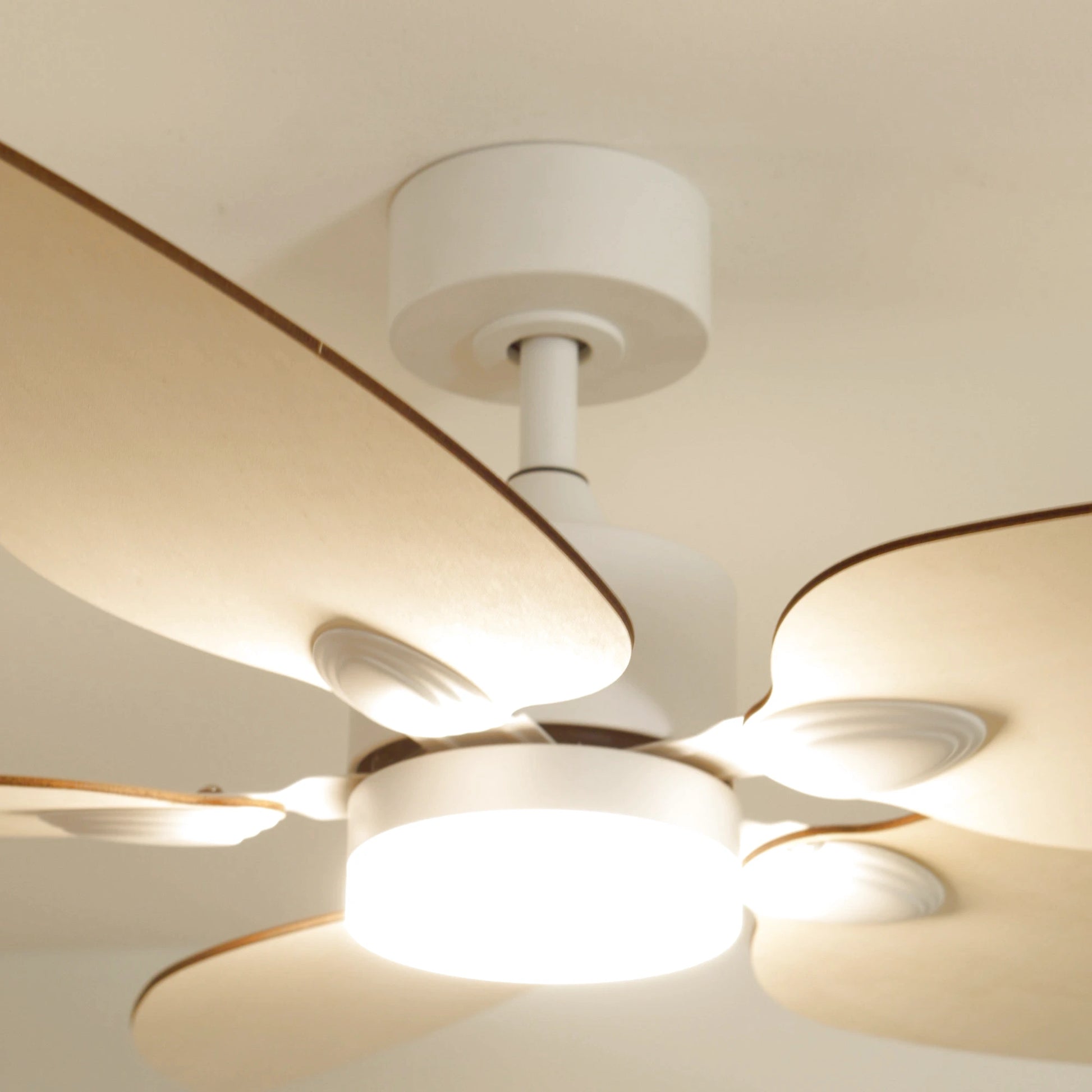 Virevole | Ventilateur de plafond