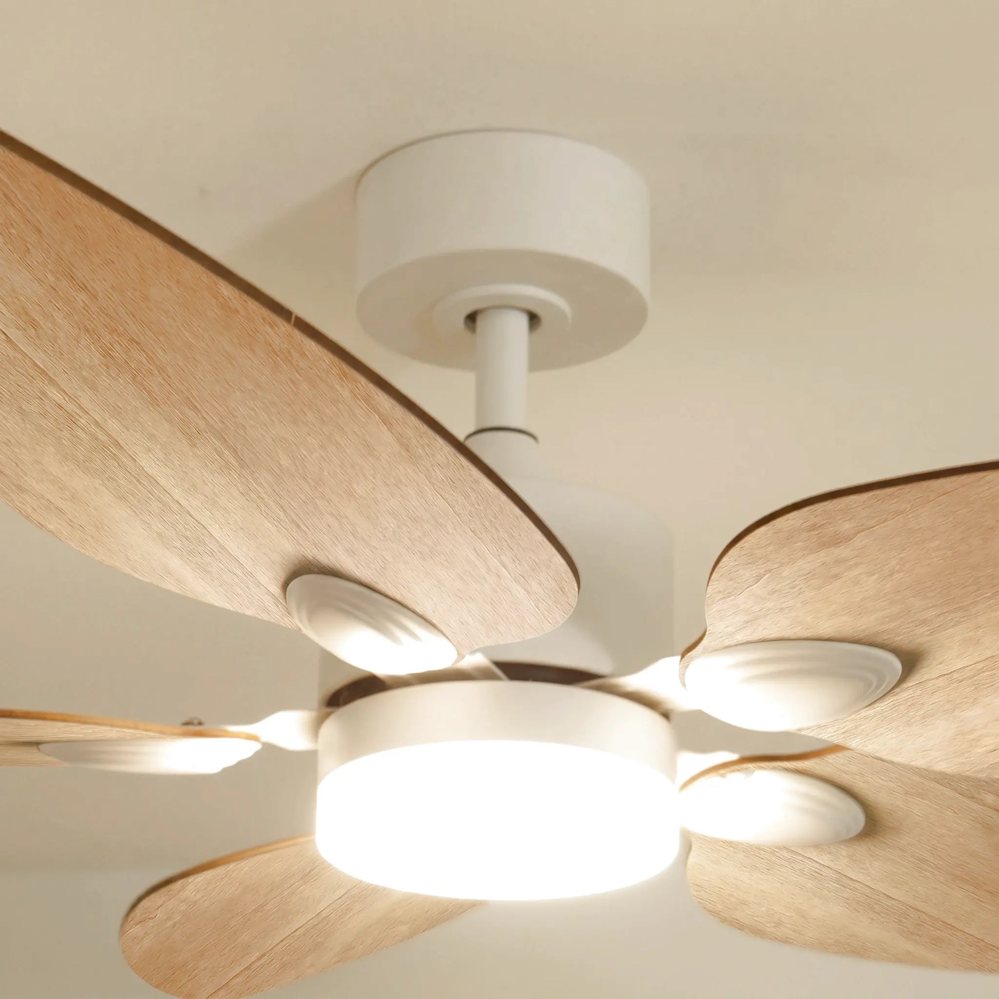 Virevole teinté Chêne | Ventilateur de plafond