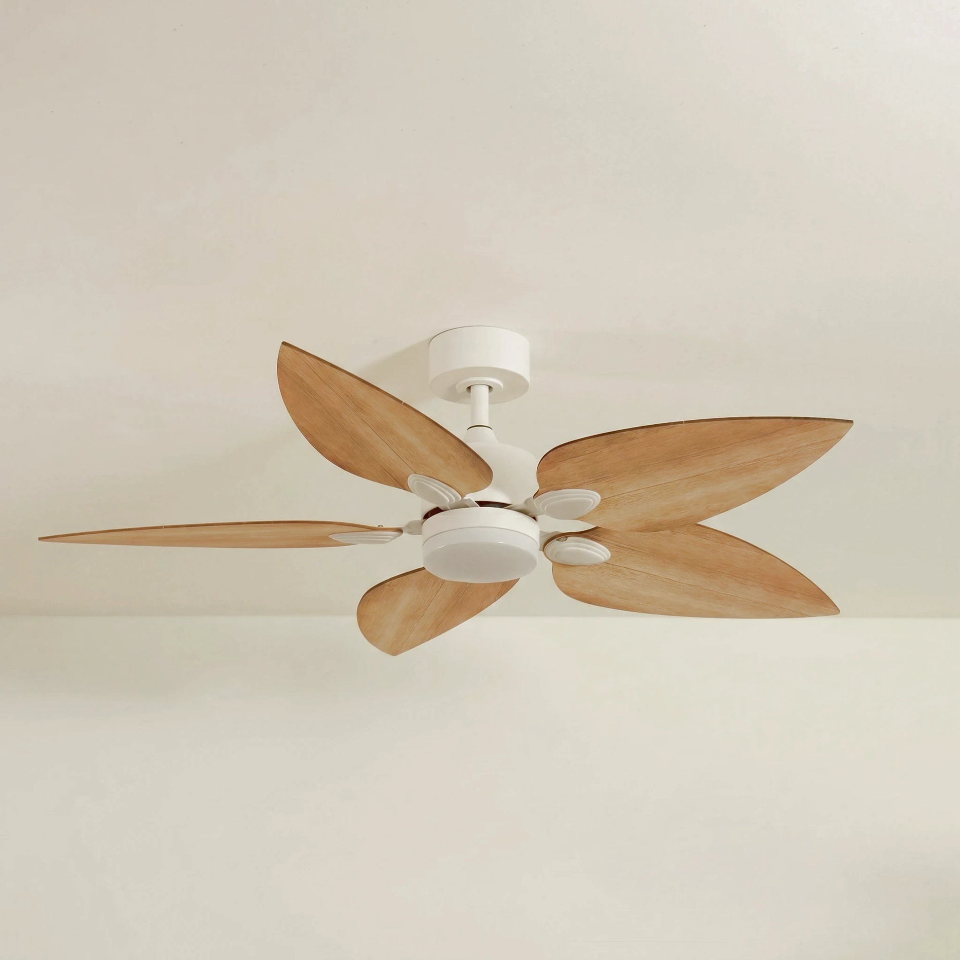 Virevole teinté Chêne | Ventilateur de plafond