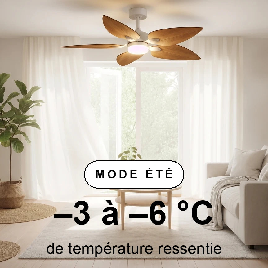 virevole scene ete
