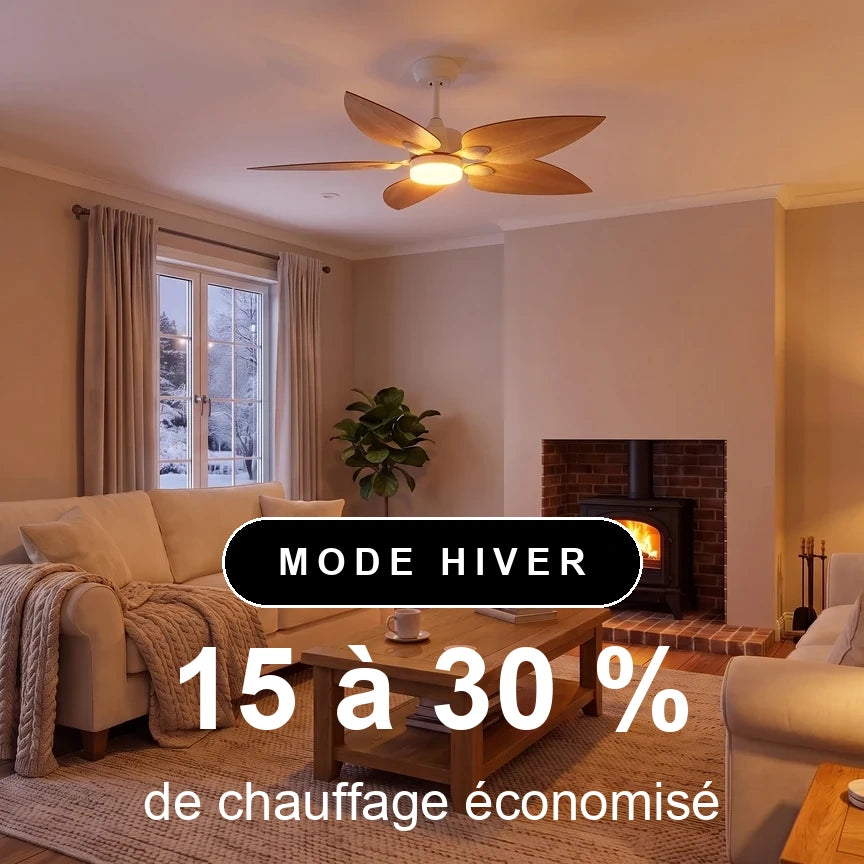 virevole scene hiver