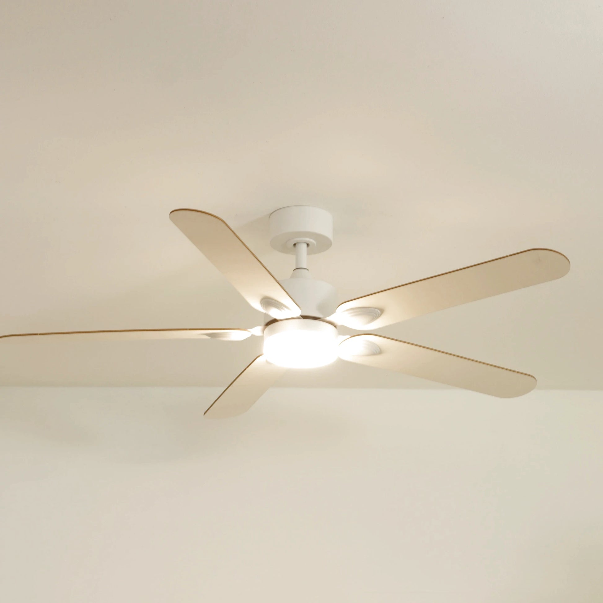 Zéphyr | Ventilateur de plafond