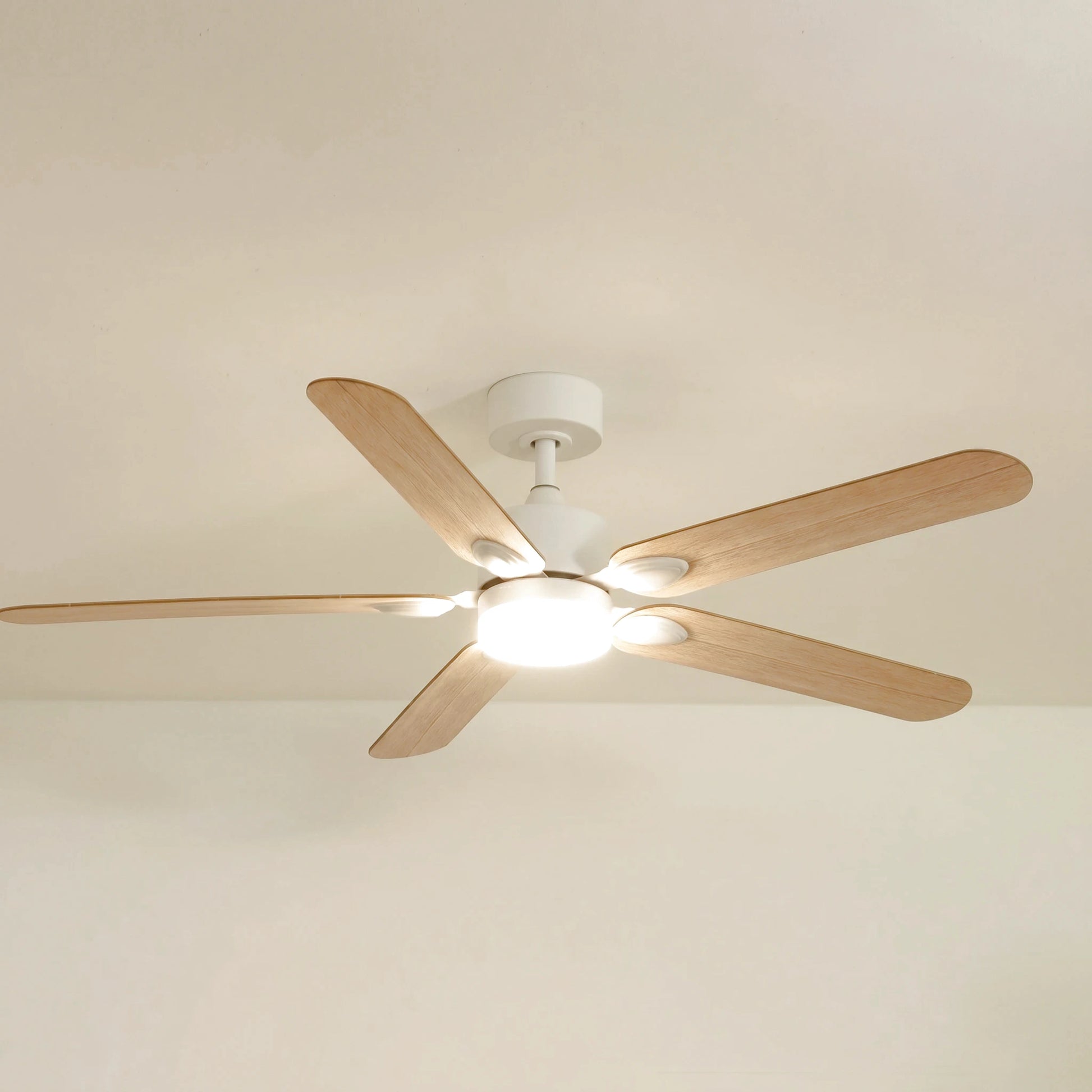 Zéphyr teinté Chêne | Ventilateur de plafond