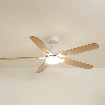 Zéphyr teinté Chêne | Ventilateur de plafond