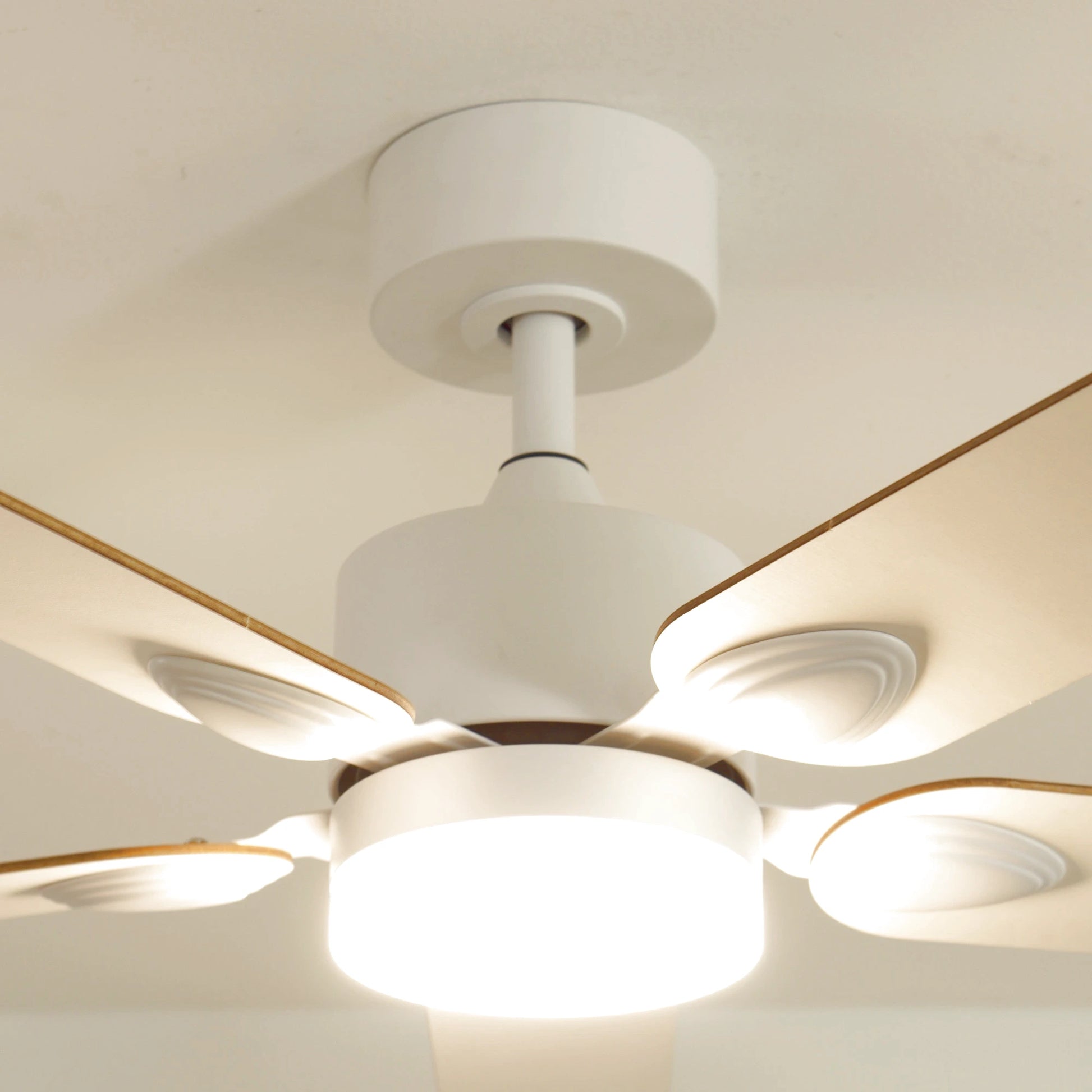 Zéphyr | Ventilateur de plafond