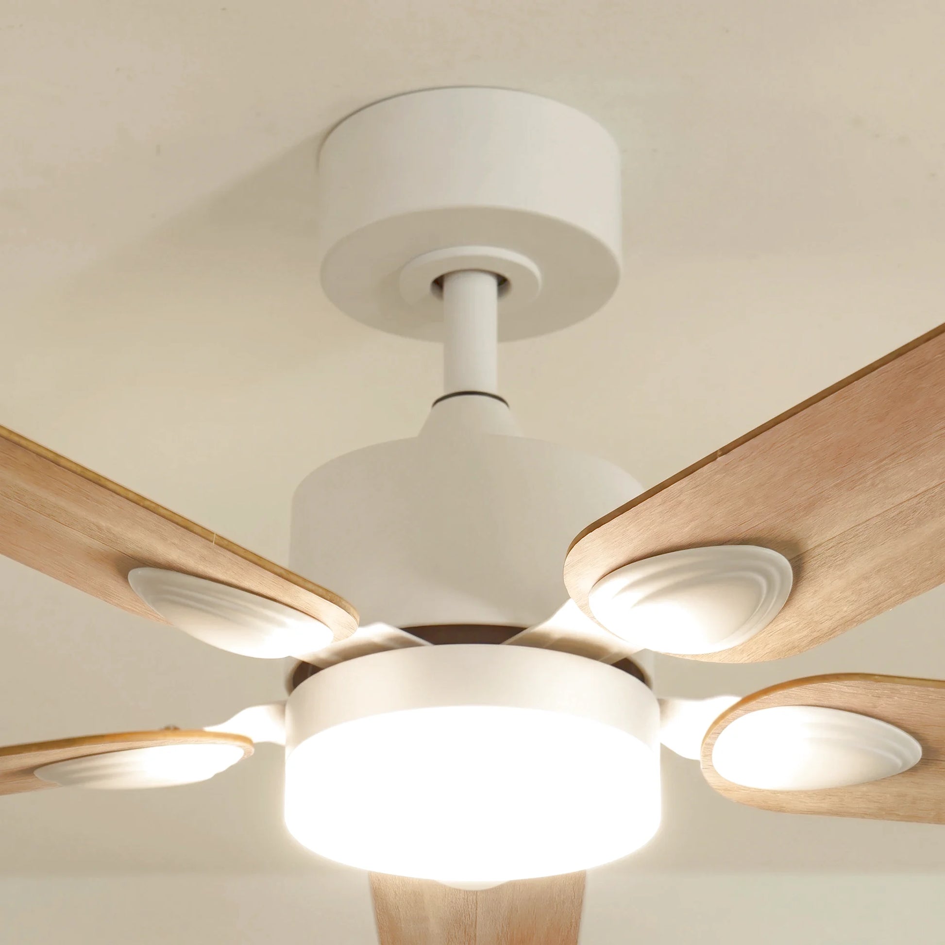 Zéphyr teinté Chêne | Ventilateur de plafond