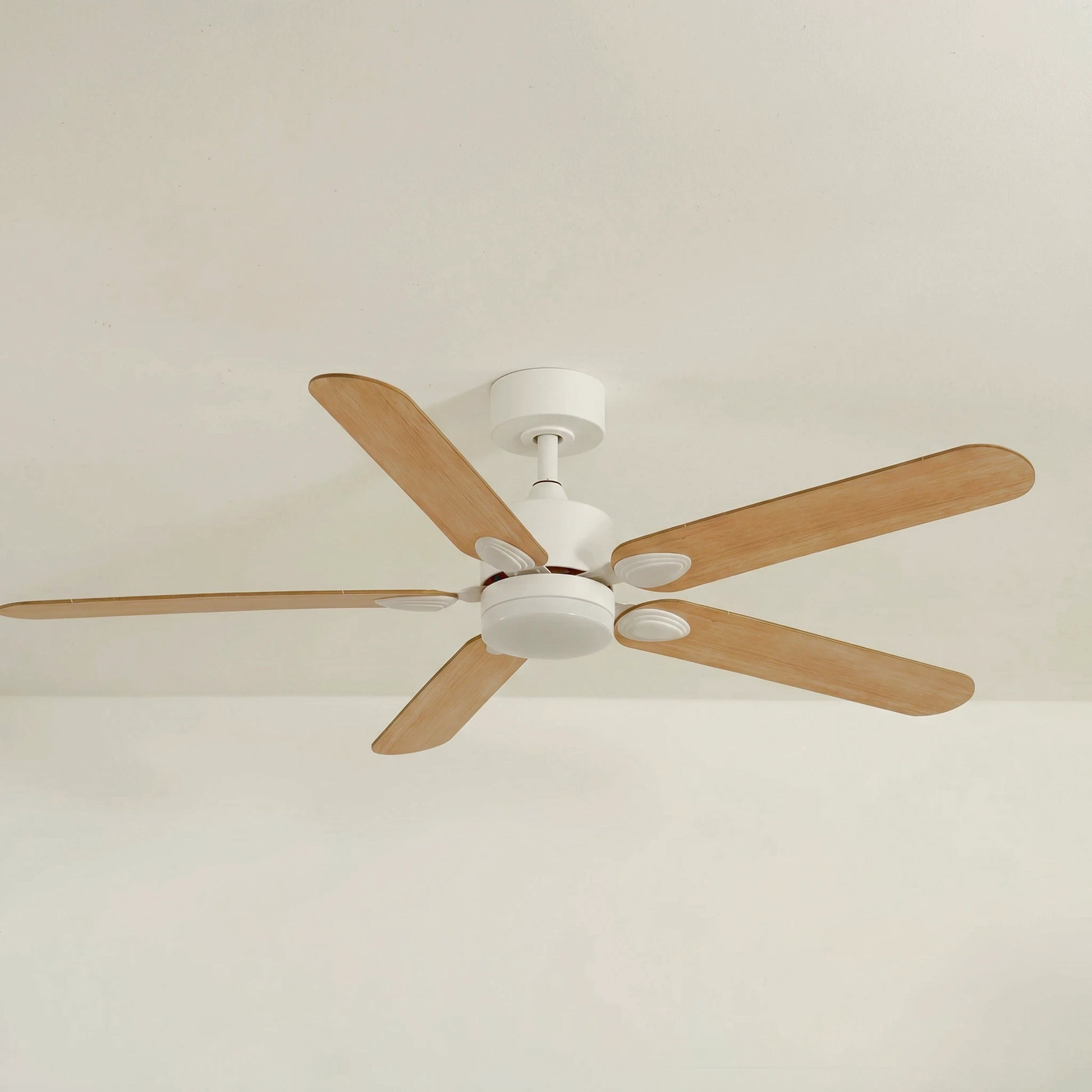 Zéphyr teinté Chêne | Ventilateur de plafond