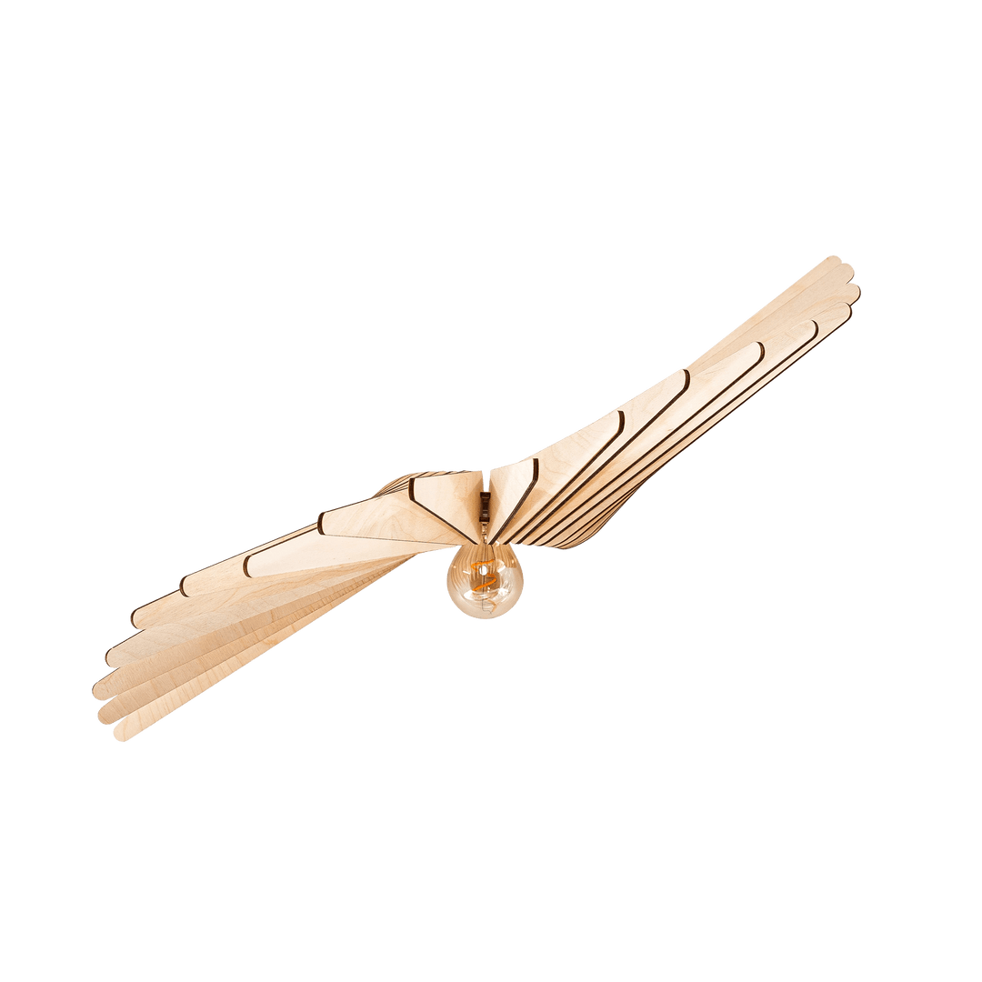 Albatros | Applique